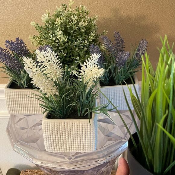 Faux Plants Lot of 5 Lavender in Ceramic Square Pots - Picture 11 of 11